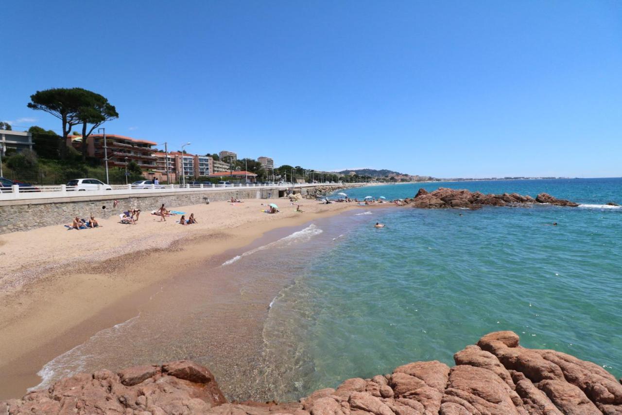 Studio With Beautiful Sea View And Direct Beach Access Cannes Eksteriør billede